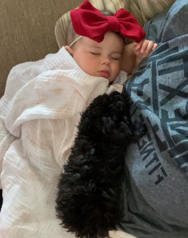 Sleeping Baby with a Small Black Toy Poodle in Her Lap